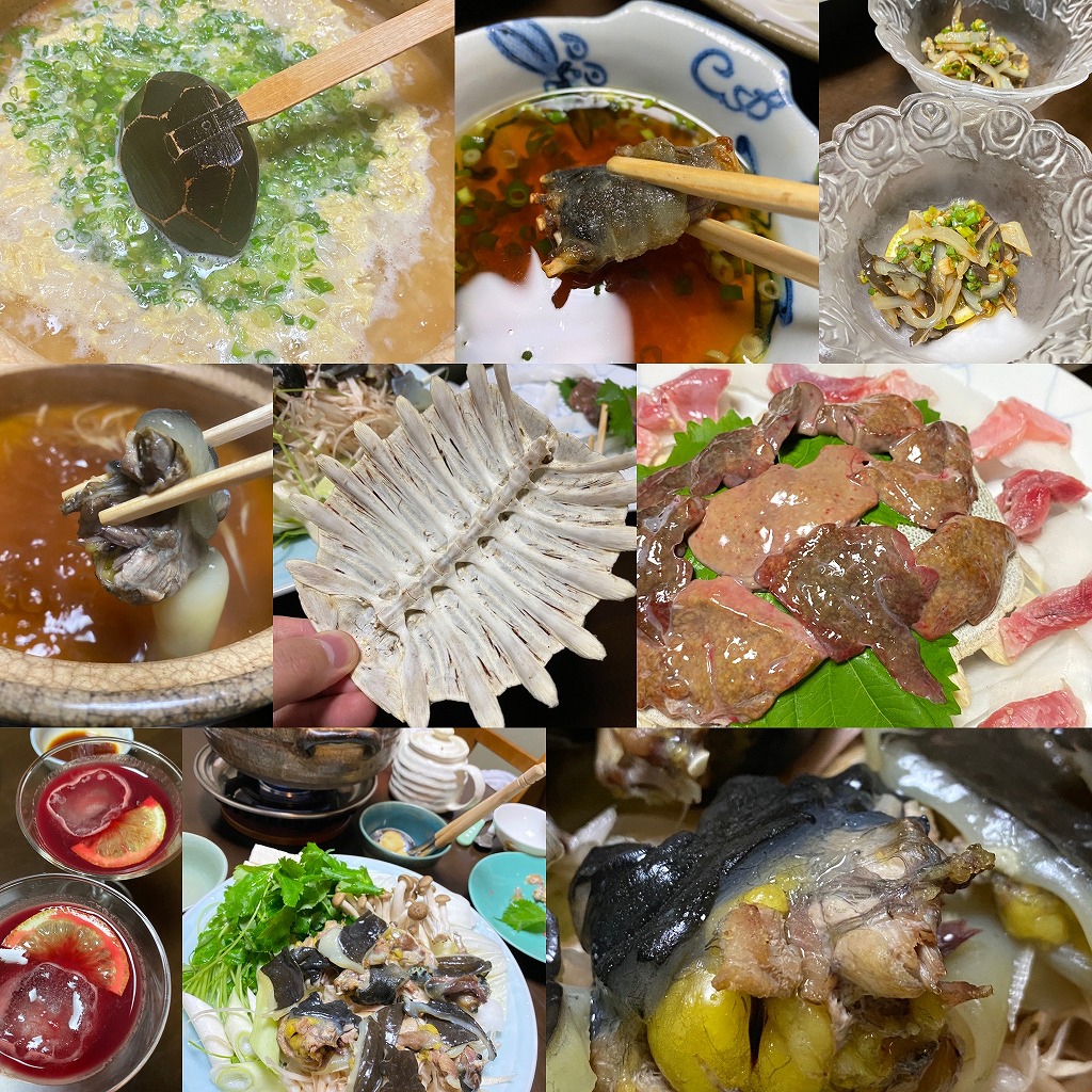 カレイ 土岐市を駆ける男 やまだくん