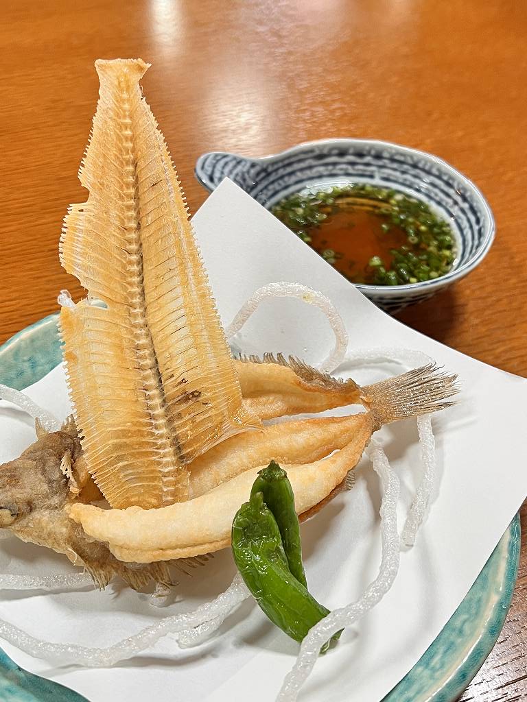 魚 食べてますか セラトピア土岐近くのゆづるさん リーズナブルな魚 唐揚げランチは1000円税込みで骨まで丸ごと食べられます 以前スッポン料理フルコースを堪能しました 土岐市を駆ける男 やまだくん