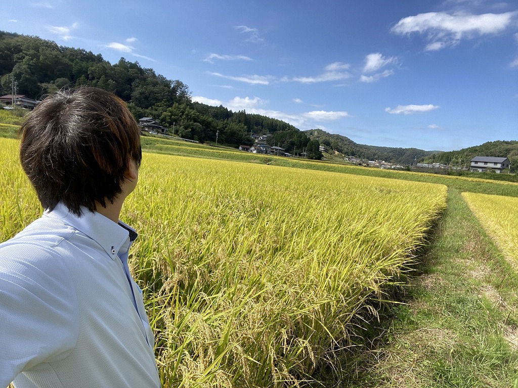 新米のシーズン到来 日吉機械化営農組合さんが運営するネット通販サイト ぎふ日吉高原オンラインストア が本日よりオープン 令和二年の新米 販売は10月日 開始 土岐市を駆ける男 やまだくん